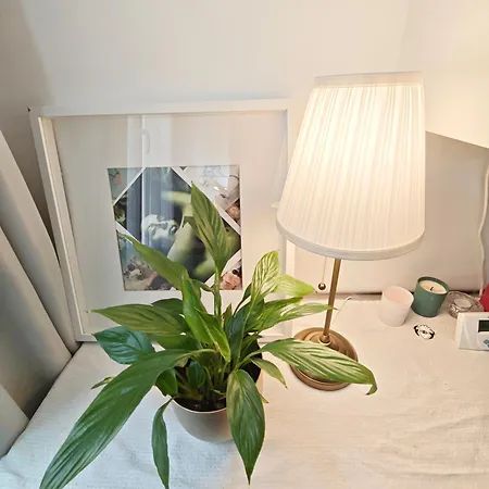 Notre Dame In Latin Quarter Stylish Flat For 6 Lejlighed